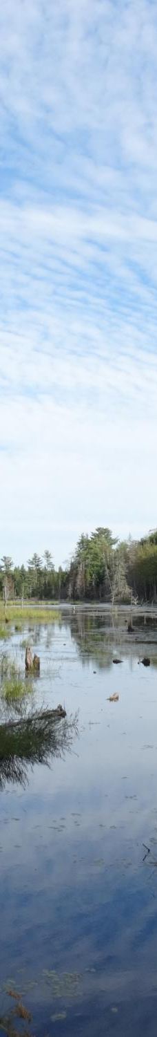 Mikisew Provincial Park-Machar