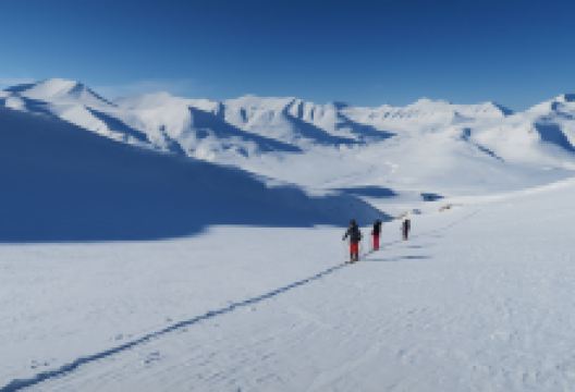 Svalbard Wildlife Expeditions景点图片