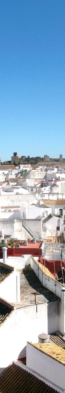 Alcazar de la Puerta de Sevilla-卡莫纳