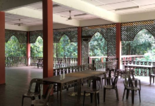 Kota Gelanggi Caves景点图片