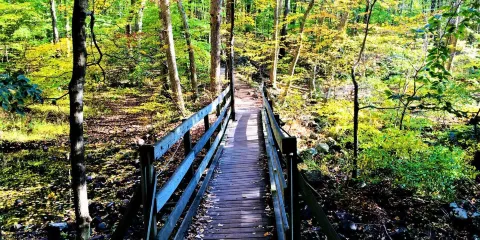 Pyramid Mountain Natural Historic Area