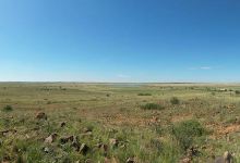 Wildebeest Kuil Rock Art Centre景点图片