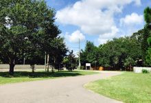 Palm Harbor Museum景点图片