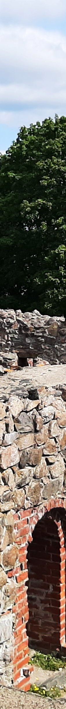 Kuusisto Bishop's Castle-卡里纳