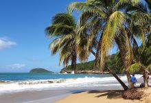 Plage de la Perle景点图片