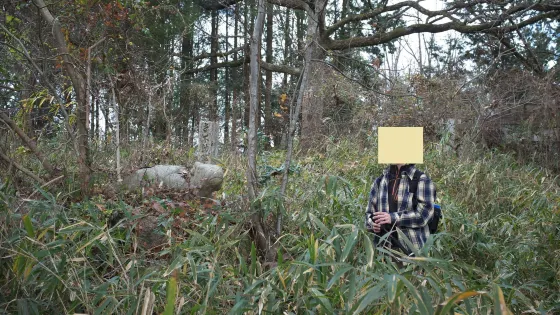 十二本宮