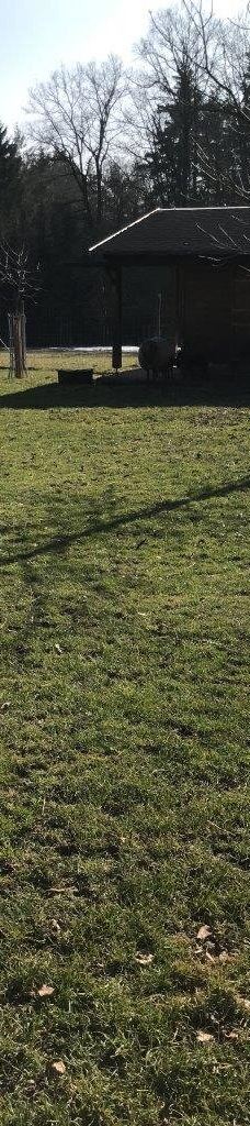 Tiergehege Waldhaus-莫尔斯多夫-泰希沃尔夫拉姆斯多夫