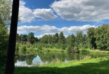 Rastorguyevskiy Park景点图片