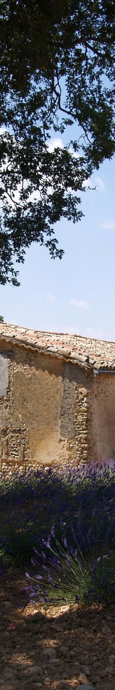 瓦朗索尔高原-瓦朗索勒