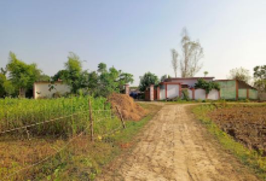 Gulariya Mandir Hanuman dham景点图片