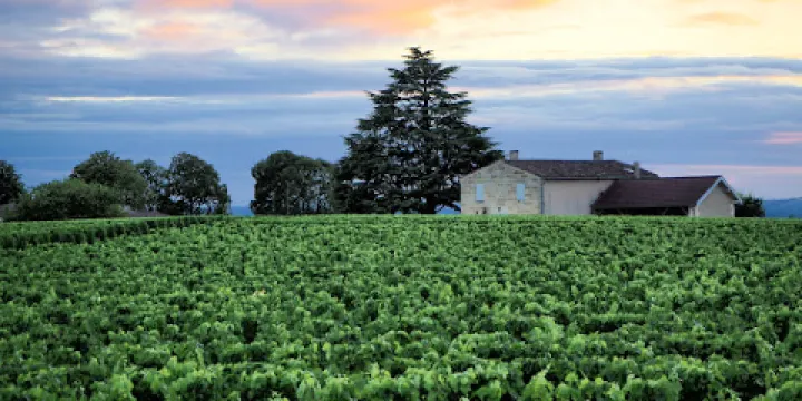 Chateau Canon la Gaffeliere