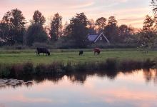 Buitenleven kamperen | Camping Vinkeveen景点图片