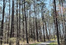 Short Pump Park Walking Trail景点图片