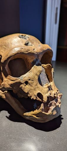 Museum MONREPOS-新维德