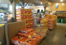 Daisy Feed & Seed Co景点图片