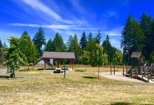 Meadow Drive Community Park景点图片