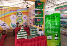 Trung Tâm Hội Chợ Triển Lãm Hoà Bình景点图片