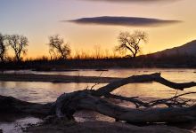 Rio Rancho/Corrales Bosque Preserve景点图片