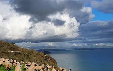 RSPB Labrador Bay Nature Reserve