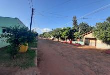 Paseo Animalia景点图片