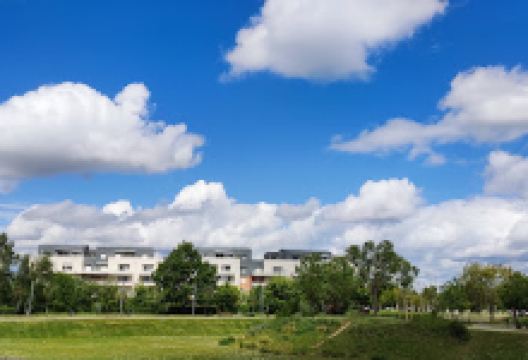 Larry Park景点图片