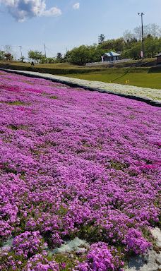 Ōmori Park-横手市