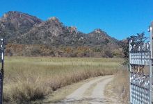 Gordon Park, Matabeleland Scouts Campsite景点图片