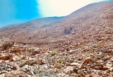 Camino Inca Chontay-San Isidro景点图片