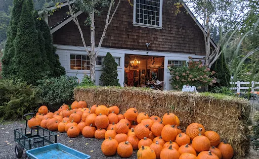Fox Hollow Farm