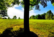 Pen Ambler Park景点图片