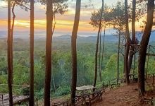 Camping gunung palasari购物图片