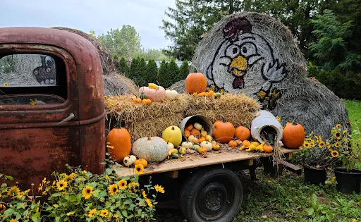 Howell Family Pumpkin Farm