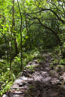 Vaipō Waterfall-努库希瓦岛
