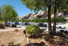 Parque Campolivar景点图片