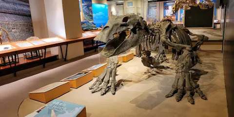 島根縣立三瓶自然館