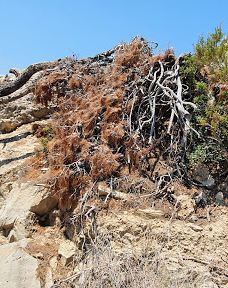 Archeological Site of Heraion at Perachora-Loutraki-Perachora