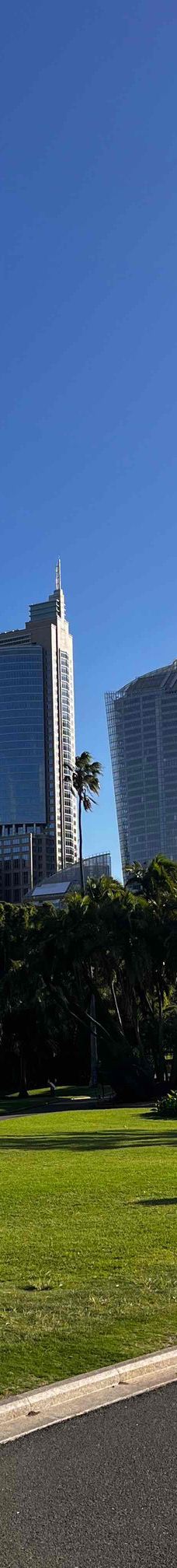 悉尼皇家植物园-悉尼-YoYo_7U2U1X1X