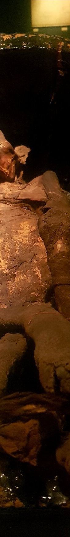 木乃伊博物馆-卢克索