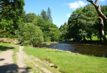 Gwydir Forest Park景点图片