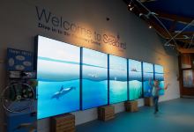 Scottish Seabird Centre景点图片