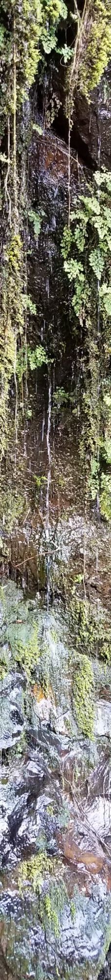 Upper Waikani Falls-茂宜县