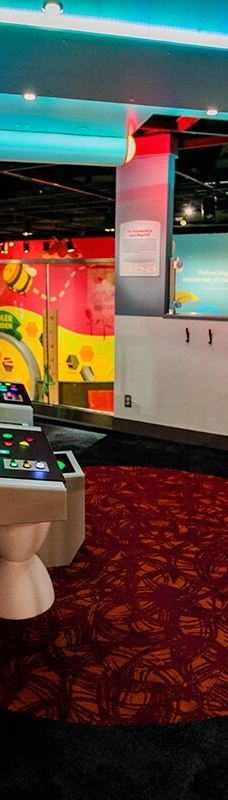 The Strong National Museum of Play-罗切斯特