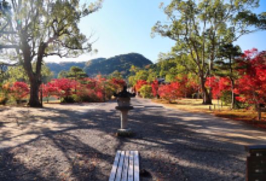 愿成寺 白水阿弥陀堂景点图片