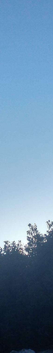 Castle of Montgrí-Baix Emporda