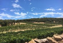 Cape Naturaliste Vineyard景点图片