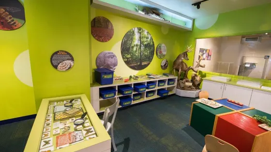 North Museum of Nature and Science