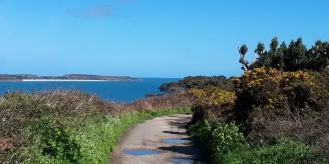 Bant's Carn Burial Chamber and Halangy Down Ancient Village