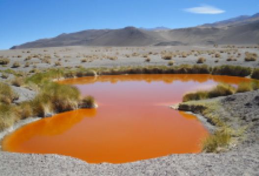 Oasi di Antofalla景点图片