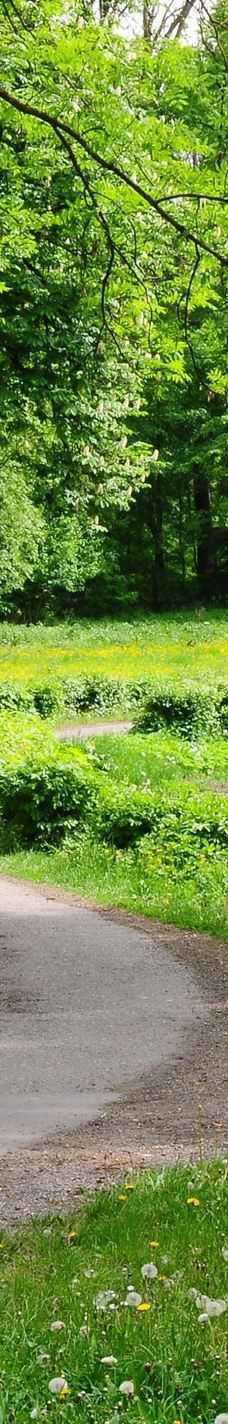 Sturdza Palace-Alexandru I. Cuza