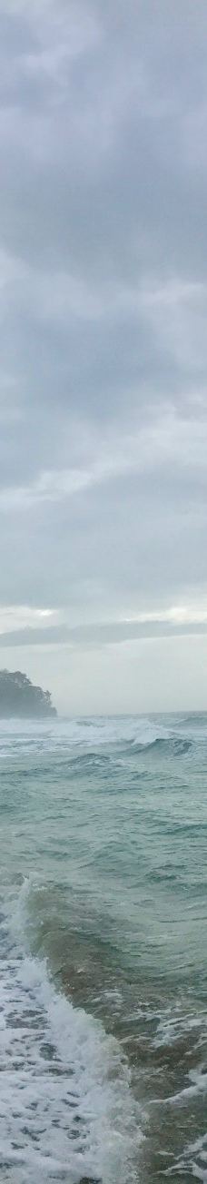 Playa Cocles-Talamanca